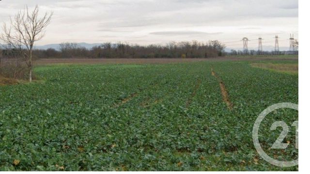 terrain à vendre - 419.0 m2 - GENAS - 69 - RHONE-ALPES - Century 21 Hestia Ldi