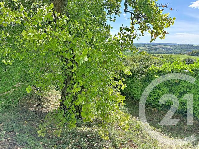 terrain à vendre - 602.0 m2 - CHUZELLES - 38 - RHONE-ALPES - Century 21 Hestia Ldi